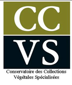 logo CCVS Conservatoire des collections végétales spécialisées